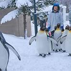 旭山動物園企鵝遊行時間3