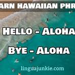 what is hello in hawaiian language1