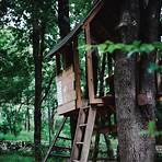 Treehouse Pictures2