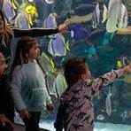 ripley's aquarium of canada toronto address2