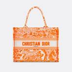 christian dior bags5