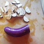where is leonese spoken in english translation google eggplant rice recipe3