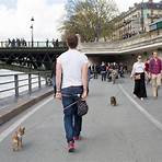 Rives de la Seine à Paris wikipedia1