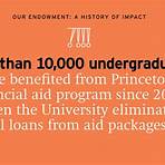 princeton university endowment2