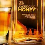 wild turkey american honey1