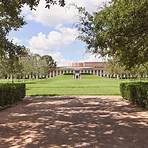 rice university mba5