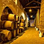 caves de vinho do porto em vila nova de gaia2