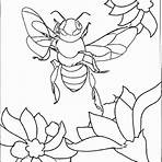 imagem abelha rainha para imprimir1