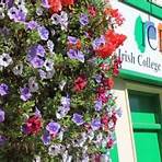 ireland colleges for adults3