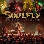 Totem Soulfly5