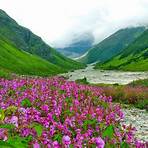 Valley of Flowers2