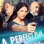 A Perfect Plan Film2