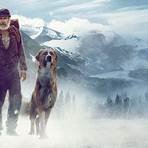 The Call of the Wild: Dog of the Yukon Film2