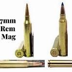 remington korper 3004