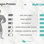 What is multi-collagen protein?2