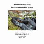 snakes on endangered species list 20212