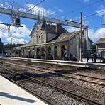 les mouettes charente maritime2