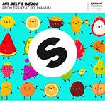 Mr. Belt & Wezol2