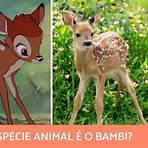 que animal é o bambi1