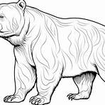 urso pardo desenho para colorir3