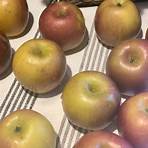 gourmet carmel apple recipes for thanksgiving 20212