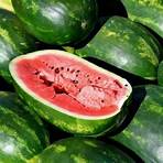 how big do watermelons grow in missouri2