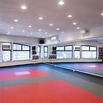 New York Mixed Martial Arts5