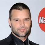 ricky martin accident1