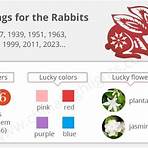 What does the year of the rabbit mean?1