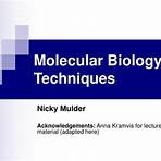 molecular biology techniques ppt1