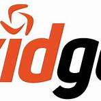 What is vidgo & how does it work?3