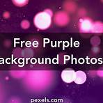 Purple Pictures4
