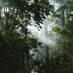 quelle est la richesse écologique de la forêt e la foret amazonienne3