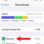 how to reset a blackberry 8250 phone using icloud storage and storage4