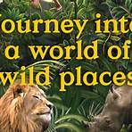 singapore zoo official website site2