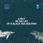 black sea film download italiano1