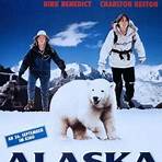Alaska – Die Spur des Polarbären2