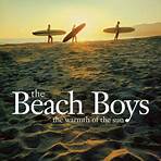 Beach Boys – Rette sich wer kann Film1