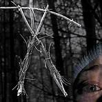 is lost tapes based on the blair witch project explained4