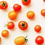 What is a golden Indeterminate tomato?2
