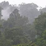luftfeuchtigkeit regenwald asien2