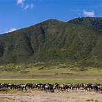 Serengeti1