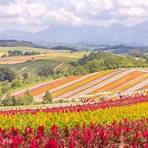 北海道自由行行程7月4