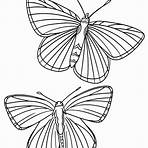 desenhos para pintar borboletas1