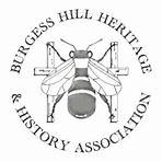 Burgess Hill wikipedia5