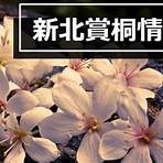 台灣桐花祭3