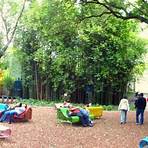 bosque de chapultepec actividades4