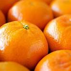 what is standard mandarin fruit3