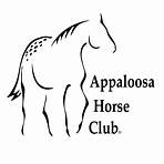 appaloosa horse club2