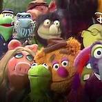 The Muppets5